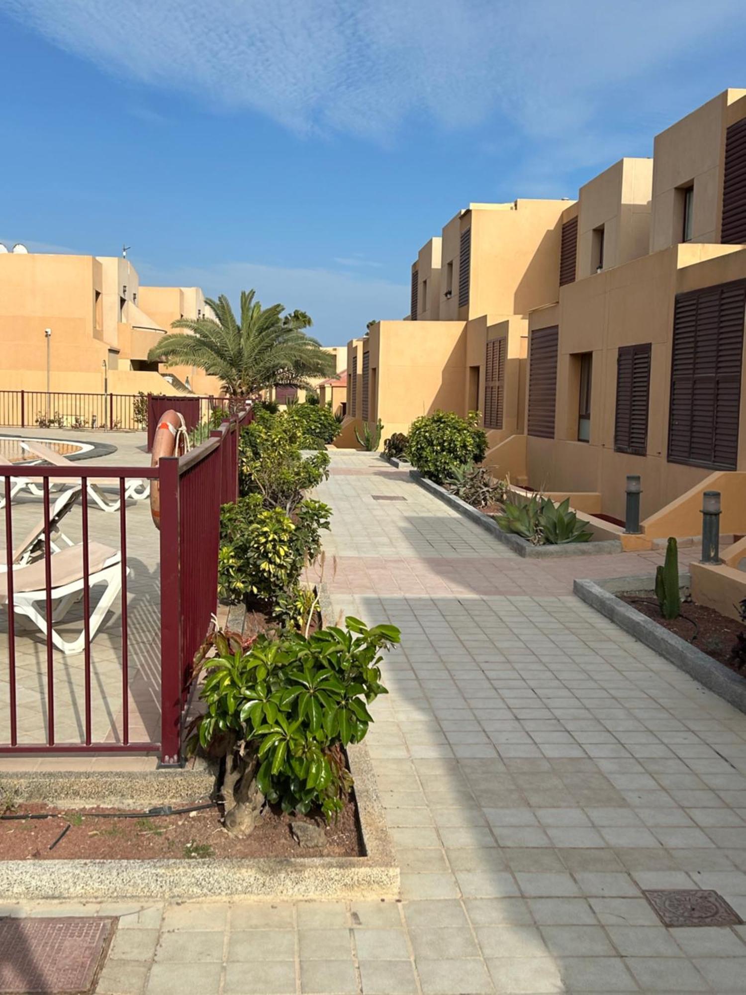 Apartment Honey Bunch Caleta De Fuste