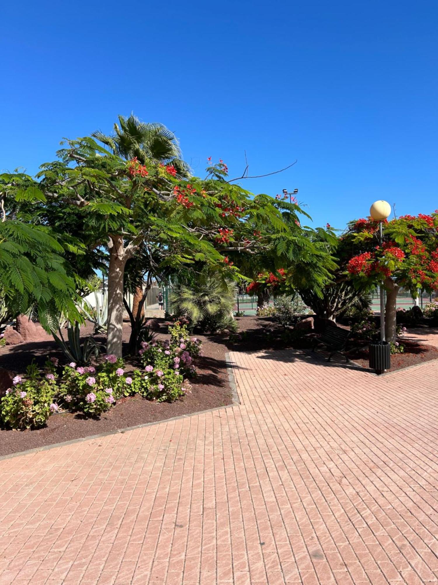 Apartment Honey Bunch Caleta De Fuste